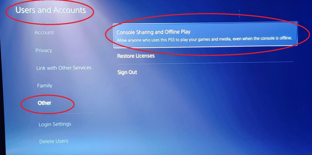 PS5 Konsol Paylaşımı ve Çevrimdışı Oynama Ayarı Nasıl Yapılır?