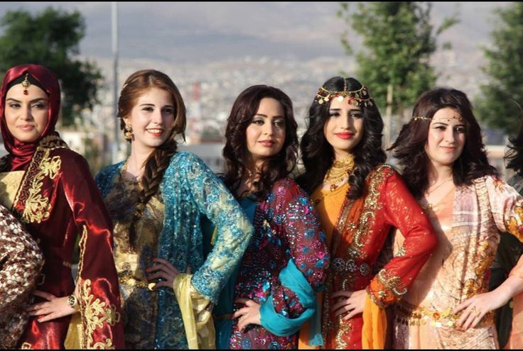 Kurdish population in Turkey