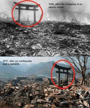 Why is Japanese Torii so Durable and Strong ?