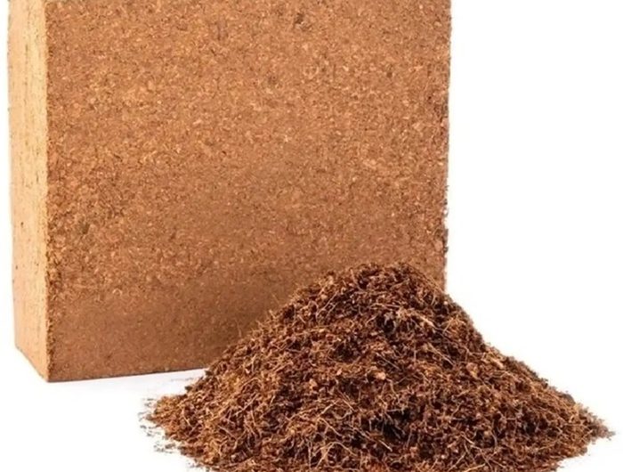 Is Compressed Soil Block Real?