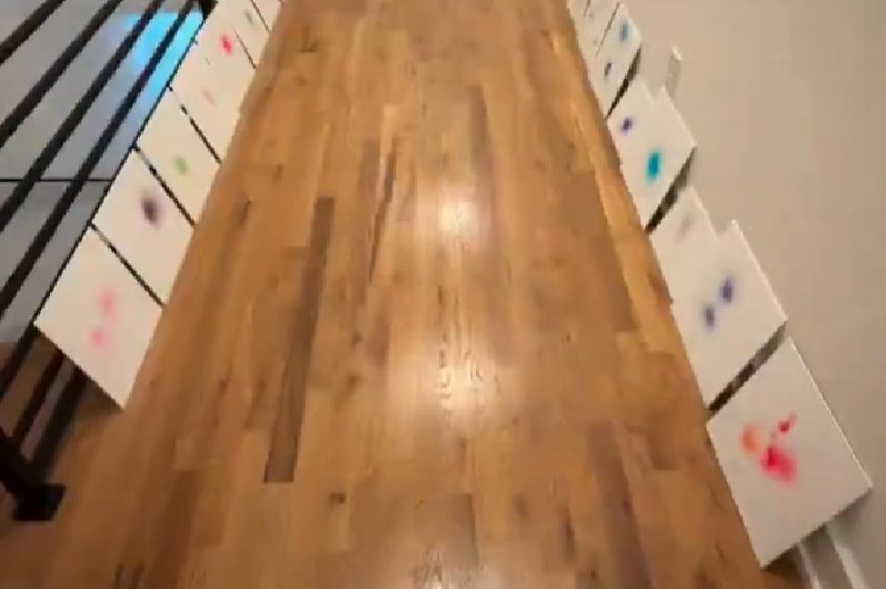 Who is The Artist of Fart Art Gallery