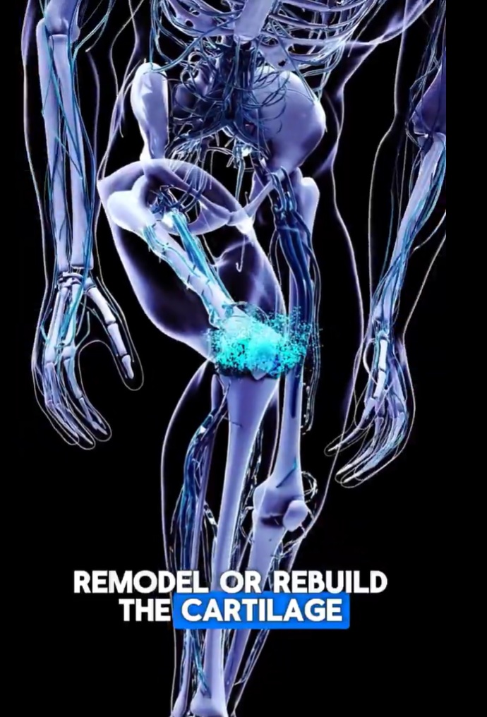 Dr. Eric Berg Number 1 Vitamin for Arthritis